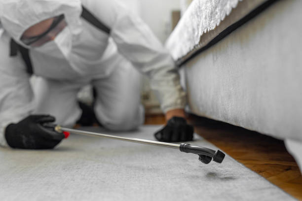 Professional Wasp Control technician working in White House Station, NJ